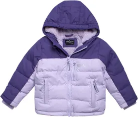 Eddie Bauer Toddler Winter Jacket - Heavyweight Quilted Down Jacket, Insulated Hooded Coat for Toddler Boys and Girls (2T-4T)